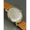 Omea Seamaster Automatic